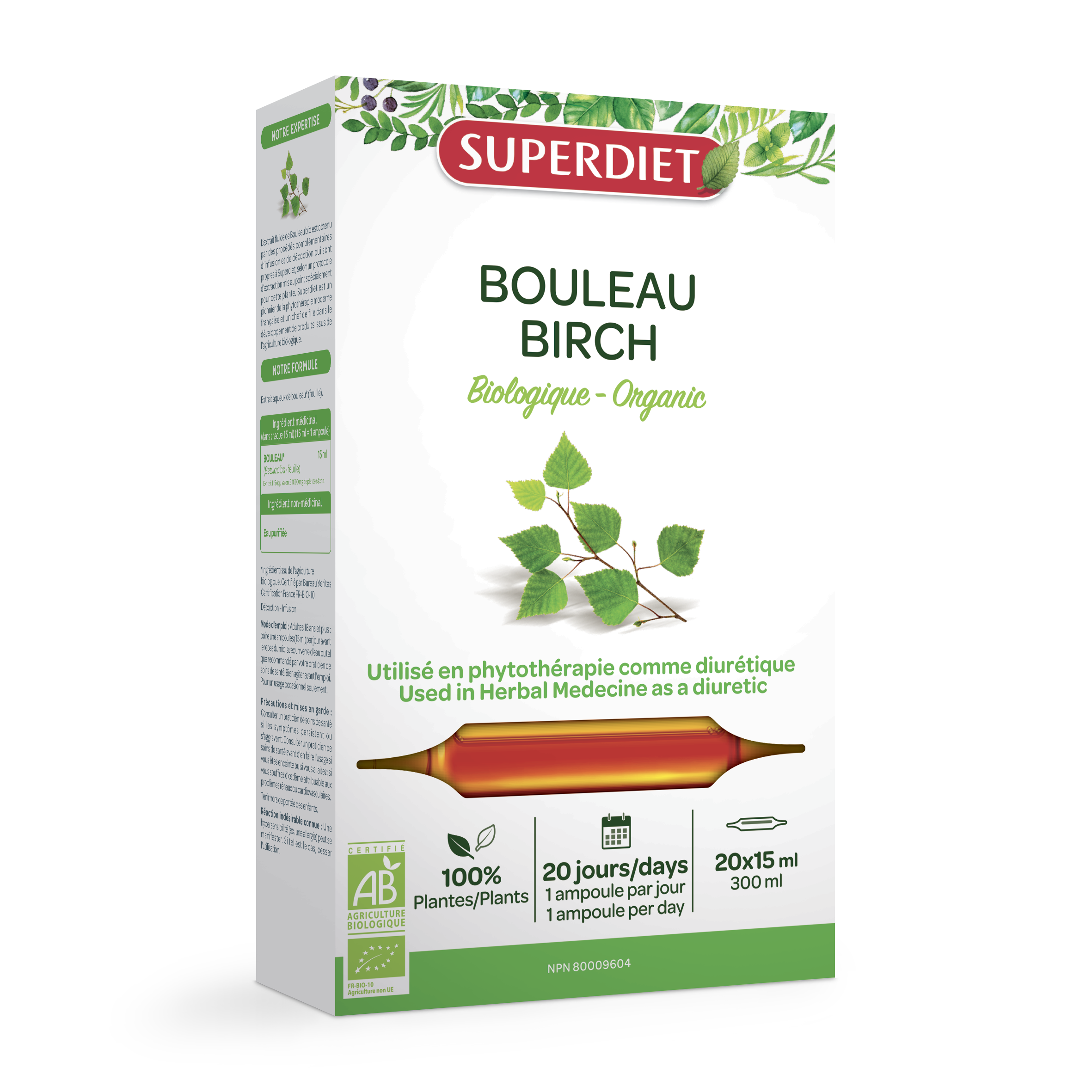 Bouleau