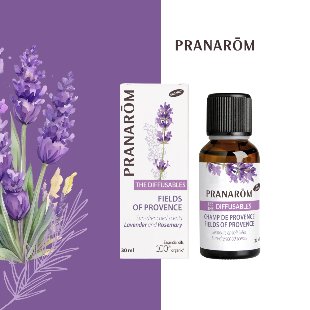 Champ de Provence | P-DF06