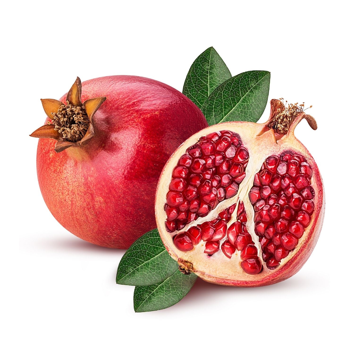 Pomegranate Precious Oil