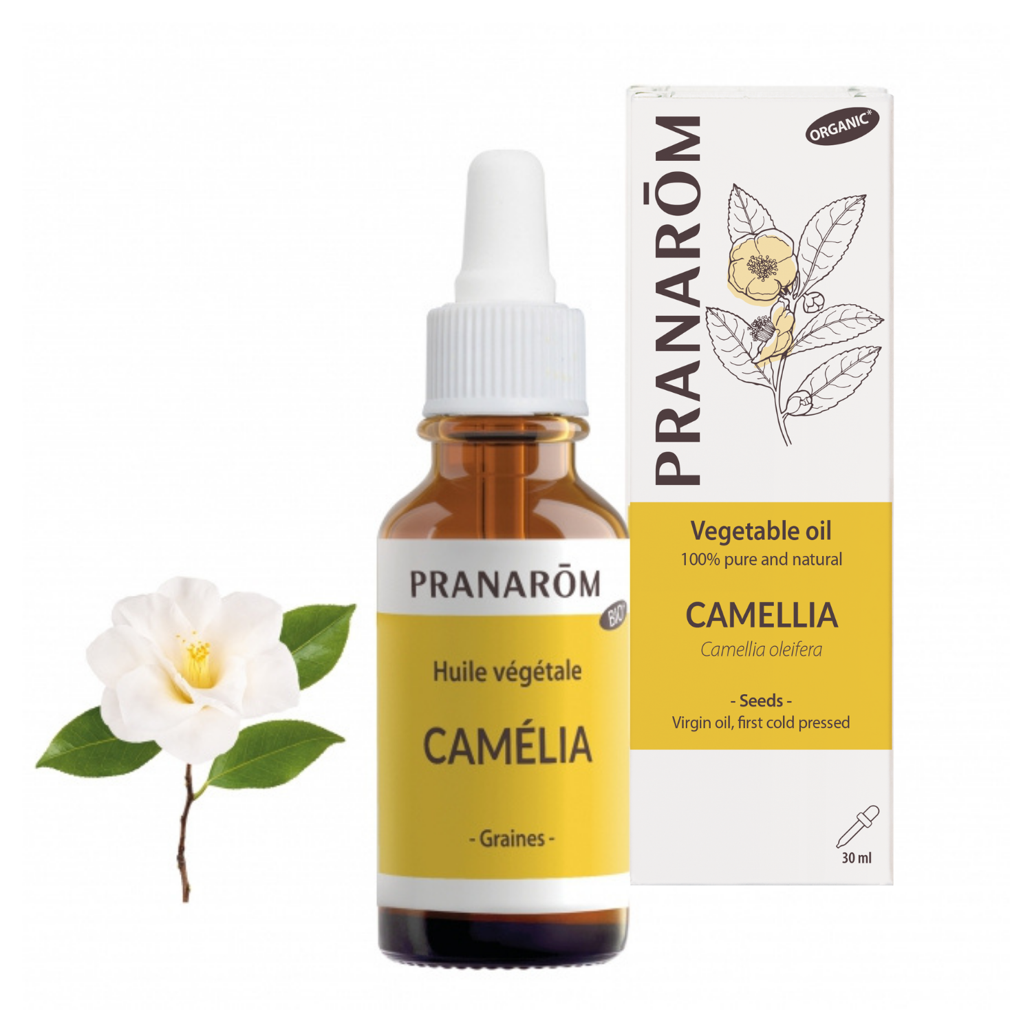 Camélia – huile précieuse