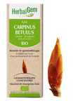 Carpinus betulua (Charme) G52