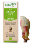 Castanea vesca (Sweet chestnut) G72