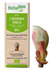 Castanea vesca (Châtaignier) G72