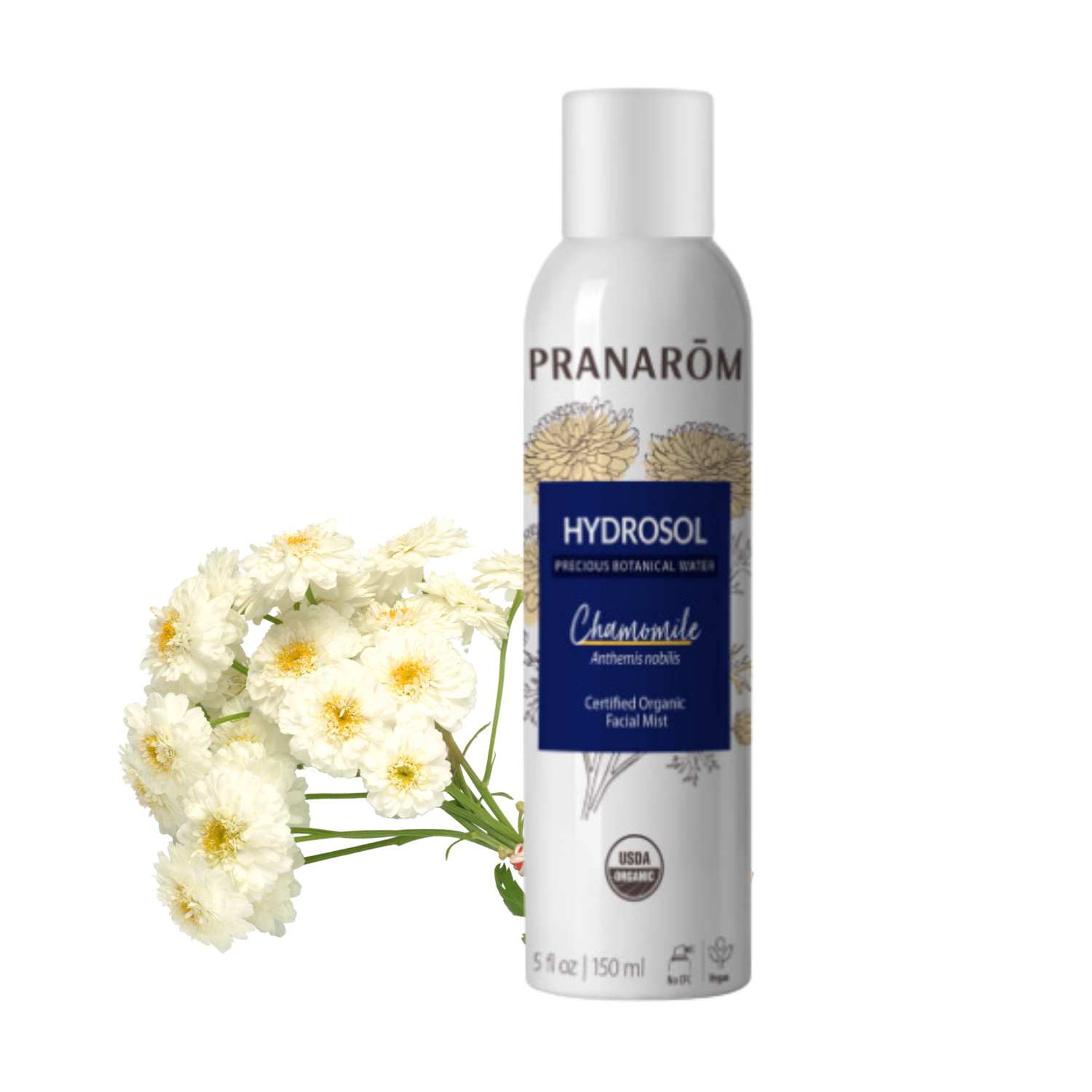 Chamomile Precious Water Hydrosol | P-HY01