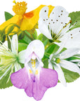 Biofloral 40 - Serene Day Complex | F-F40