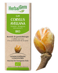 Corylus avellana (Hazel) G49