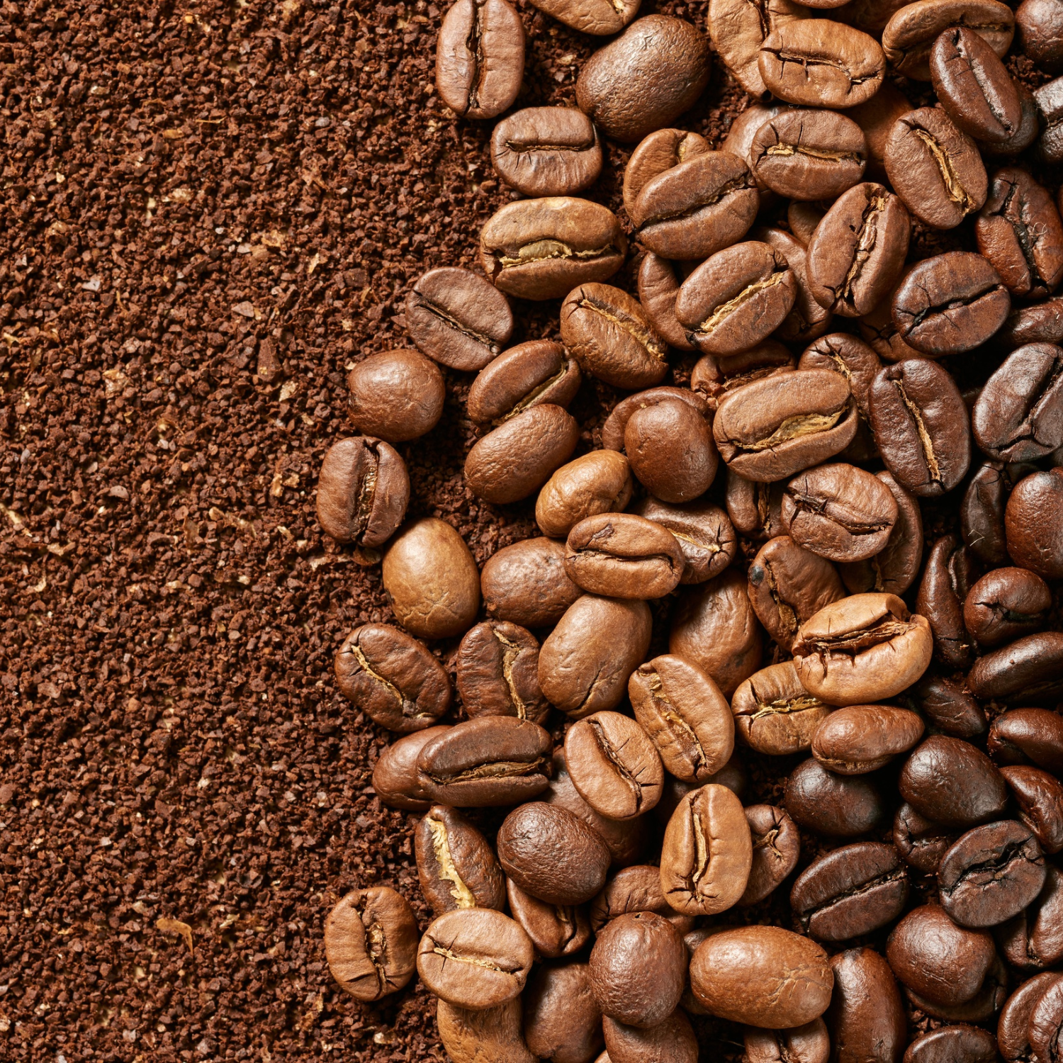 Mushroom Infused Coffee | E-CAFE