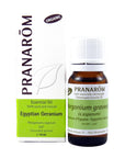 Egyptian Geranium | P-E46