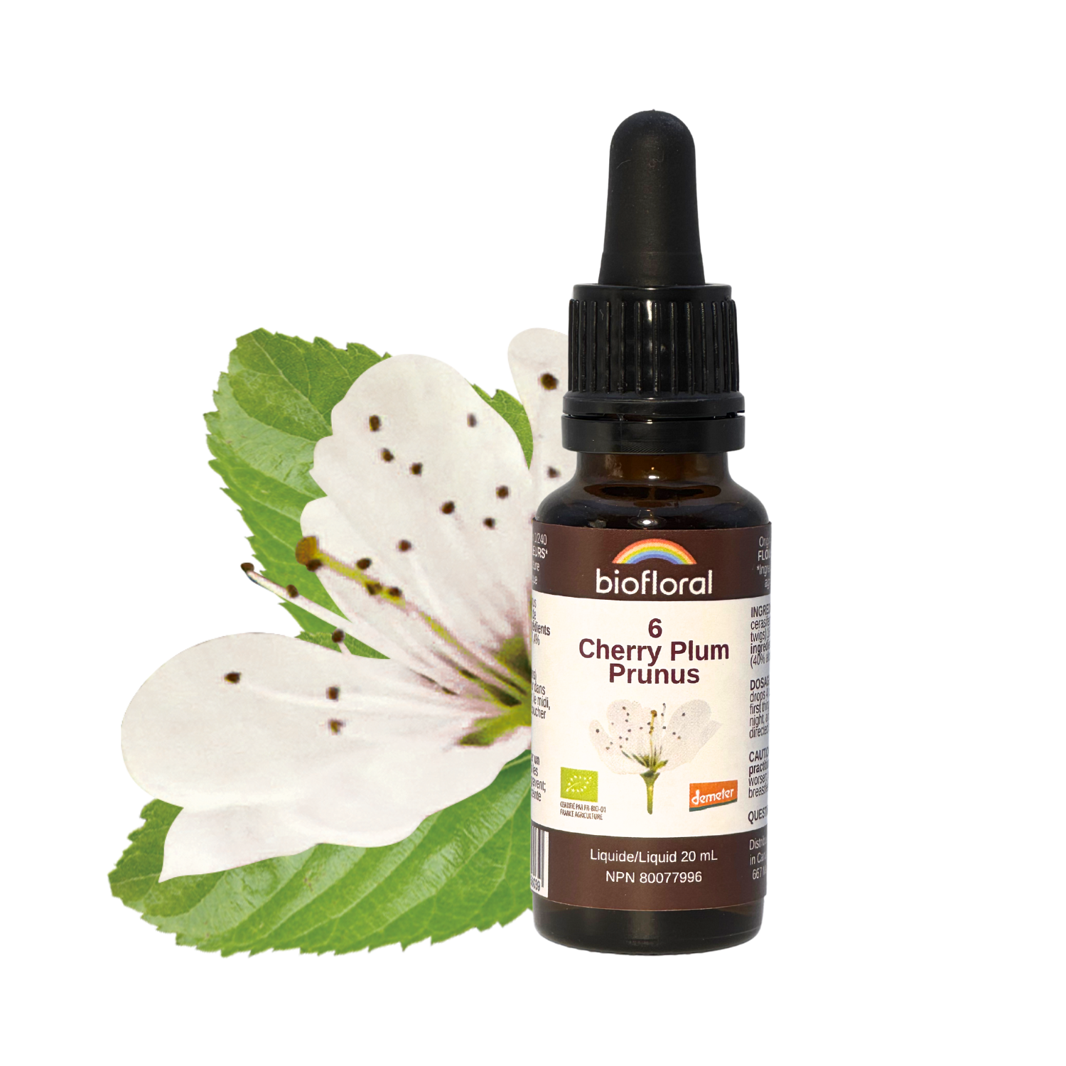 No. 6 Cherry Plum | F-F06