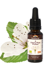 No. 6 Cherry Plum | F-F06