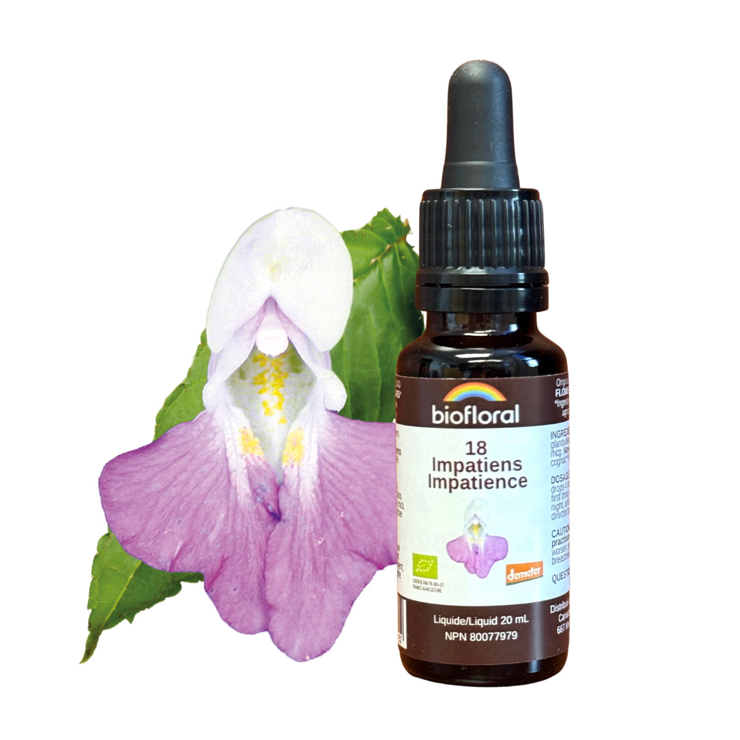 No. 18 Impatiens | F-F18