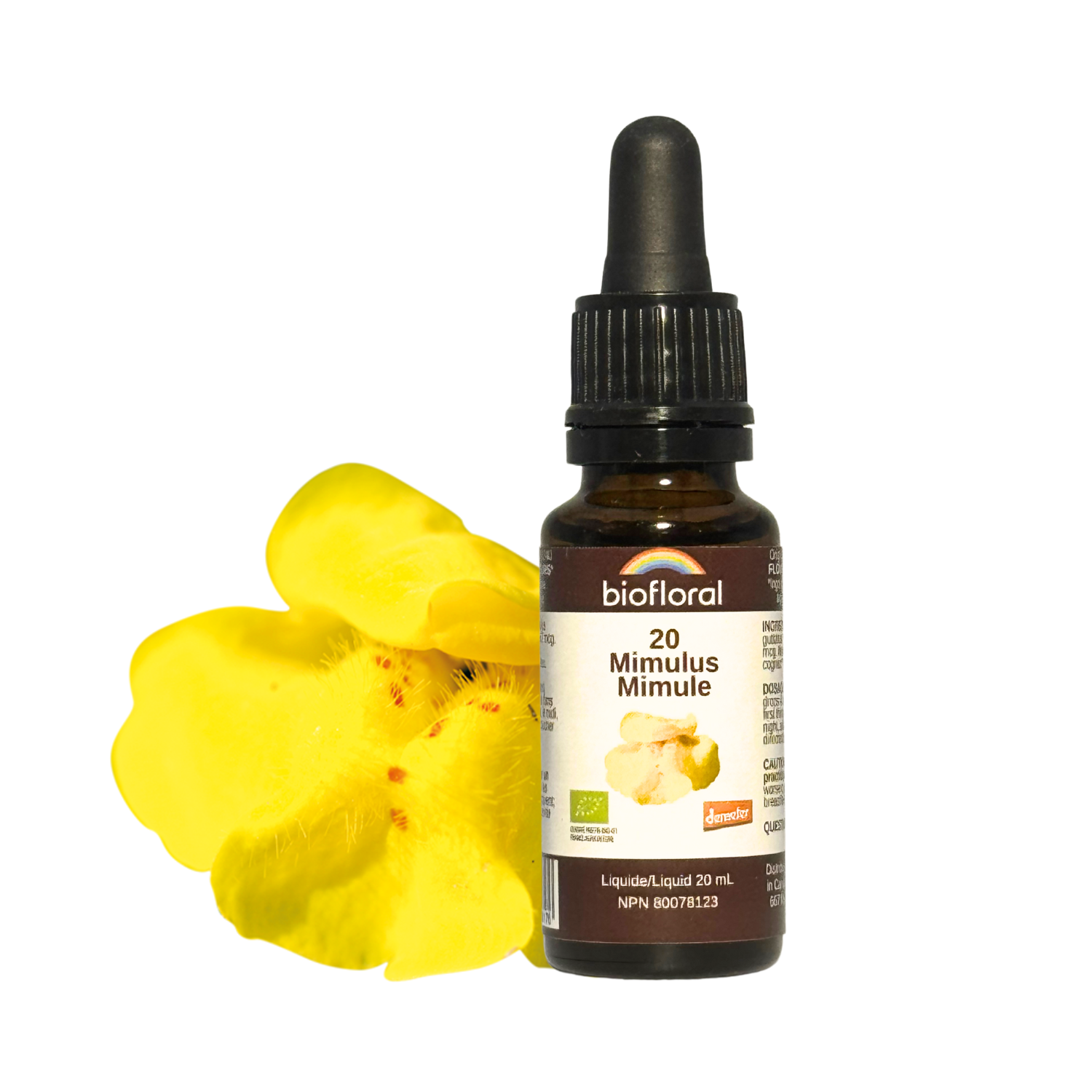 No. 20 Mimulus | F-F20