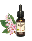No. 25 Red Chestnut | F-F25