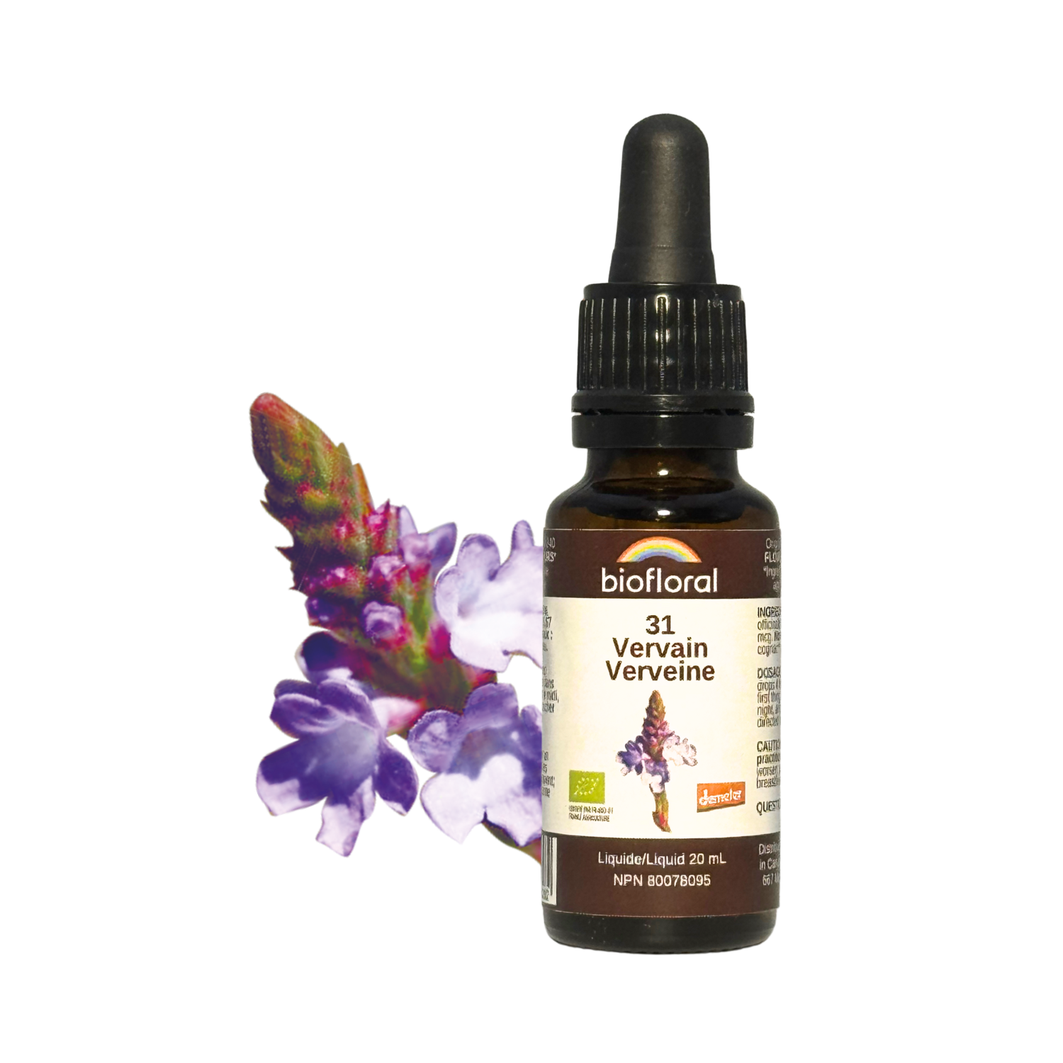 No. 31 Vervain | F-F31