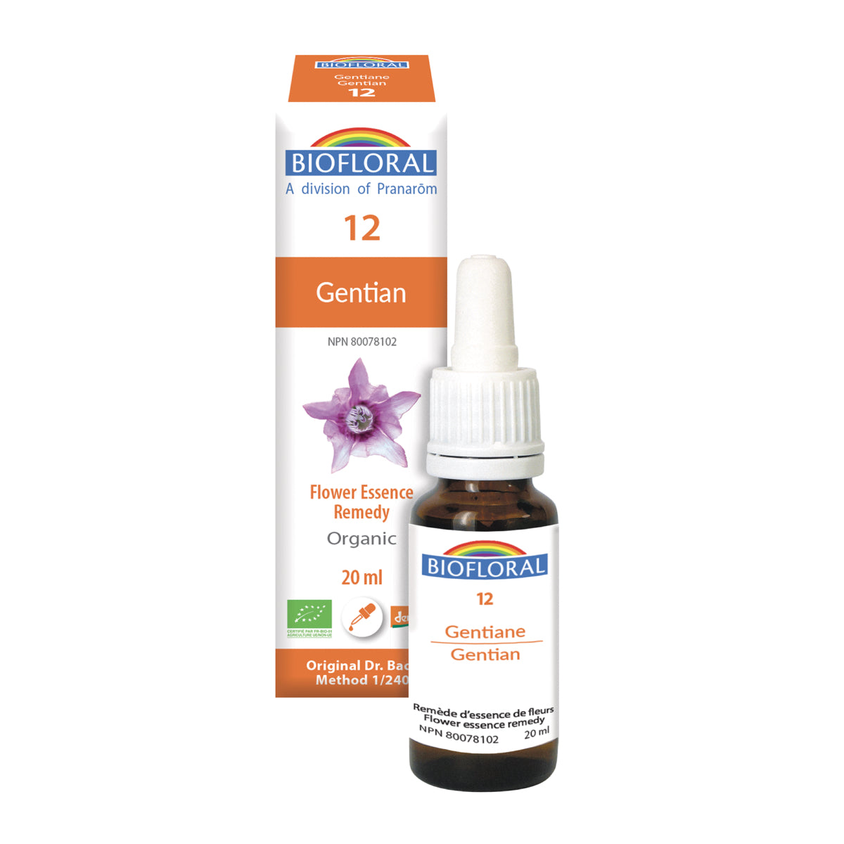 No. 12 Gentian | F-F12