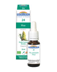 No. 24 Pine | F-F24