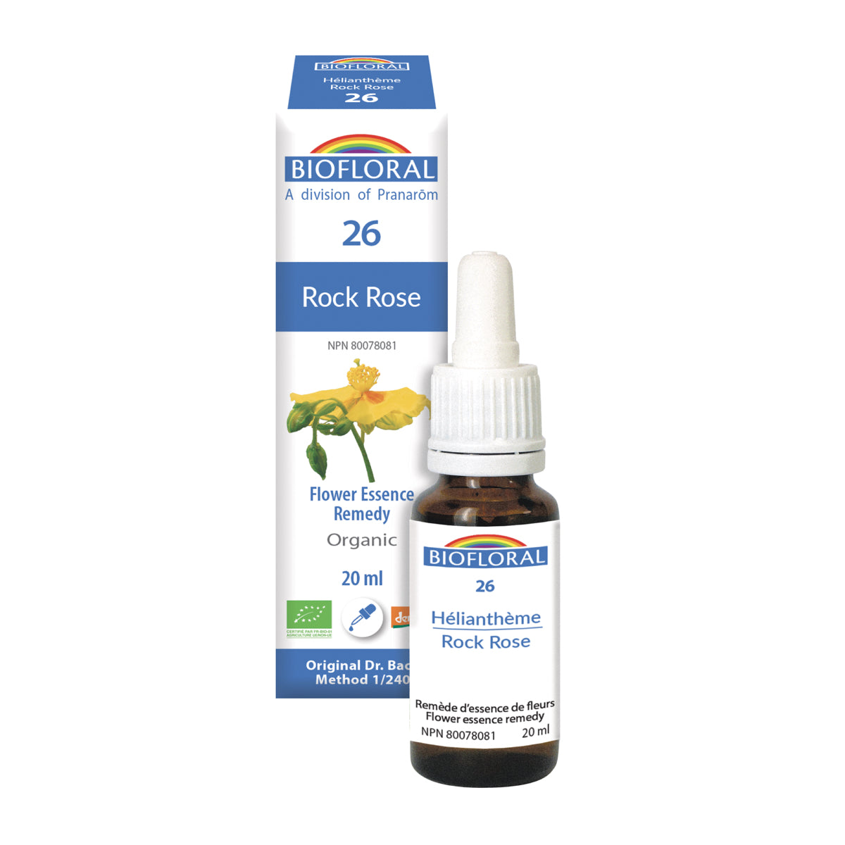 No. 26 Rock Rose | F-F26