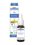 No. 26 Rock Rose | F-F26
