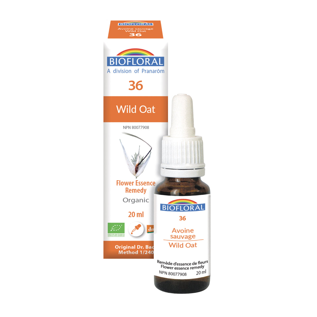 No. 36 Wild Oat (Avoine sauvage)