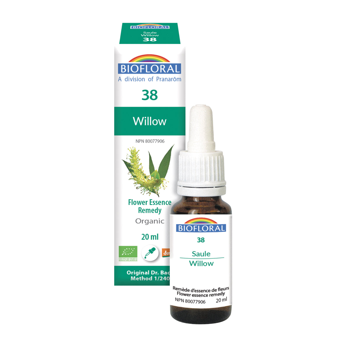 No. 38 Willow | F-F38