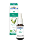 No. 38 Willow | F-F38