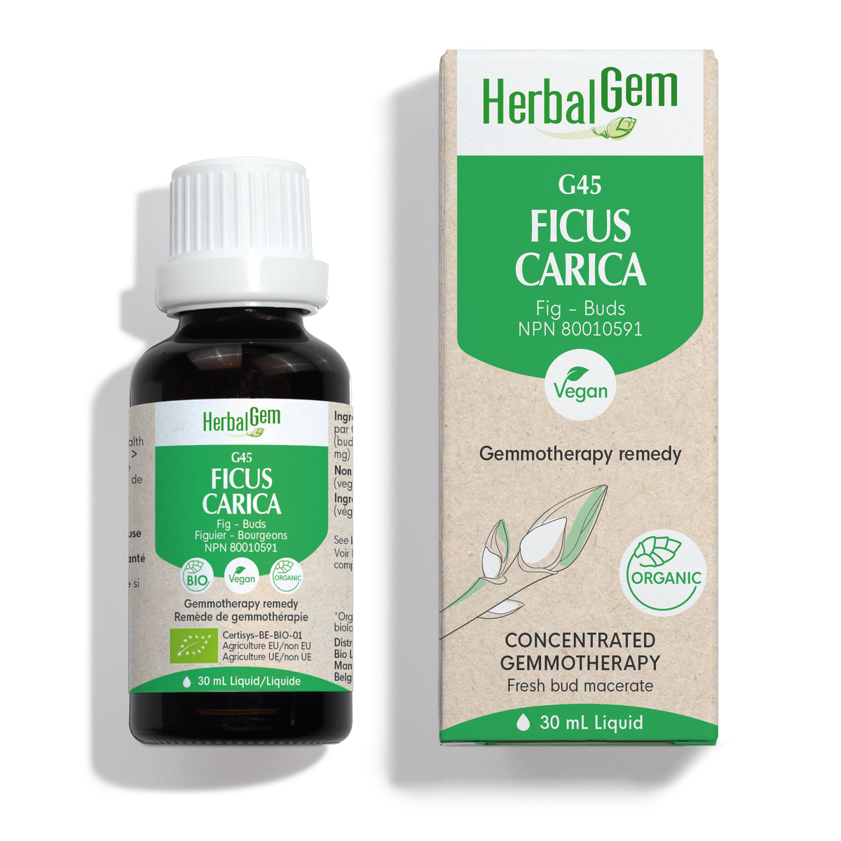 HerbalGem's Ficus Carica (Fig) G45 | Fresh Bud Gemmotherapy Remedy