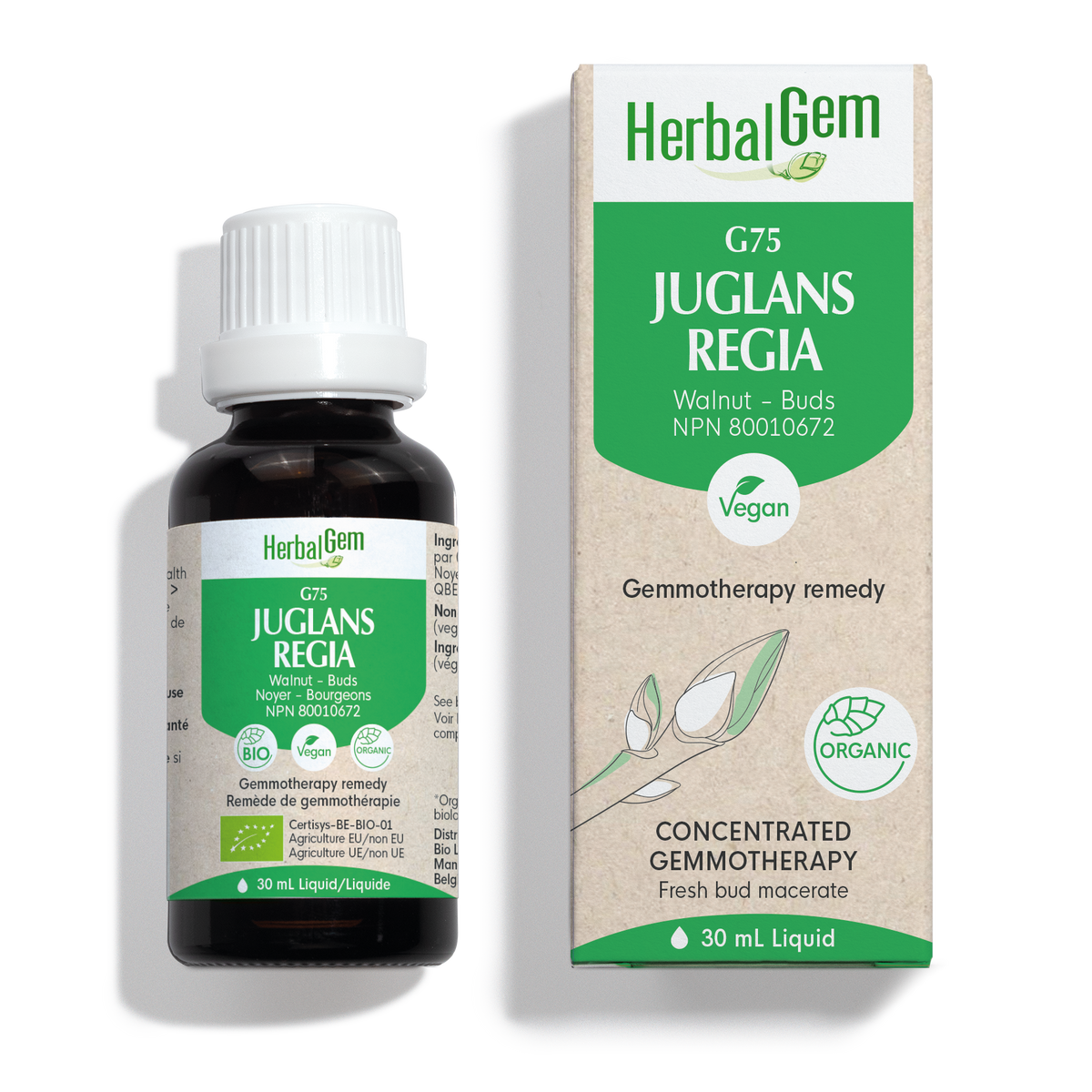 G75JUGLANSREGIA_Packshot_Canad