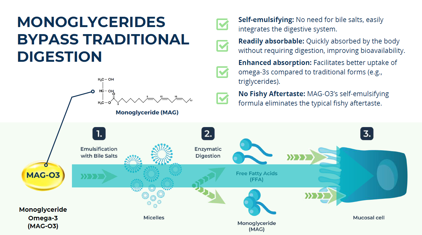 MAG-O3™ Daily Omega-3 | Q-EB01/Q-EB03