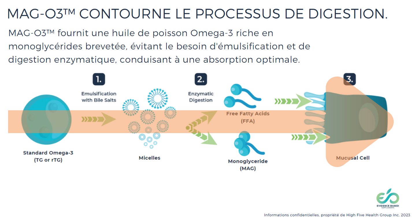 MAG-O3™ Daily Omega-3 | Q-EB01/Q-EB03