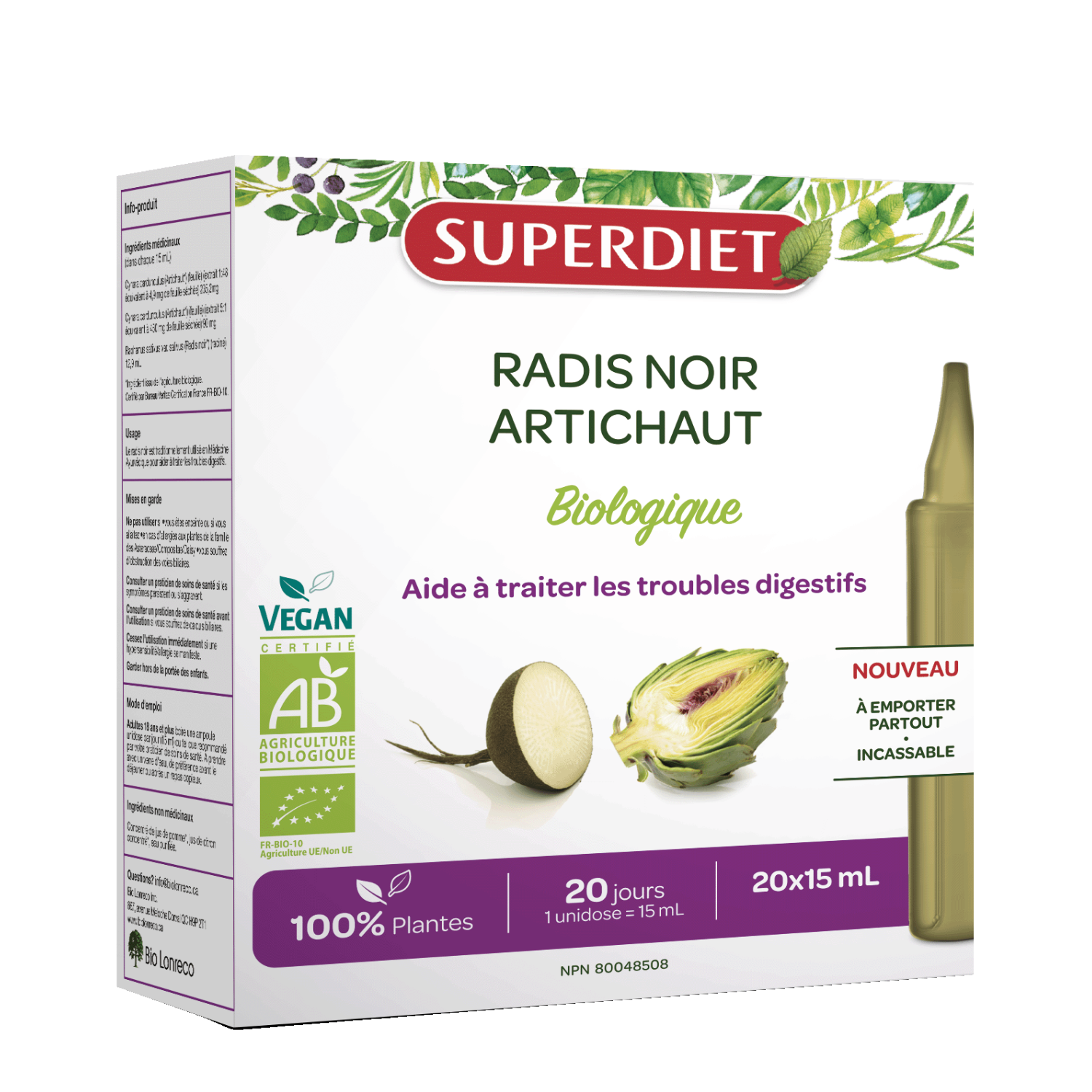 Radis Noir – Artichaut
