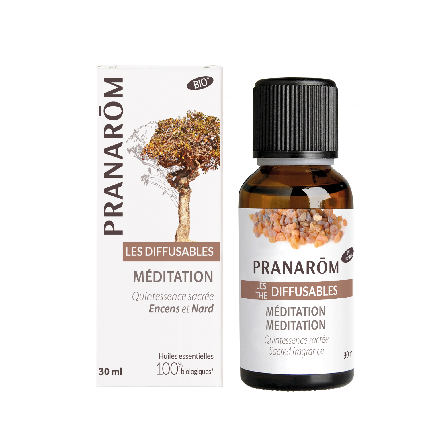 Méditation | P-DF05
