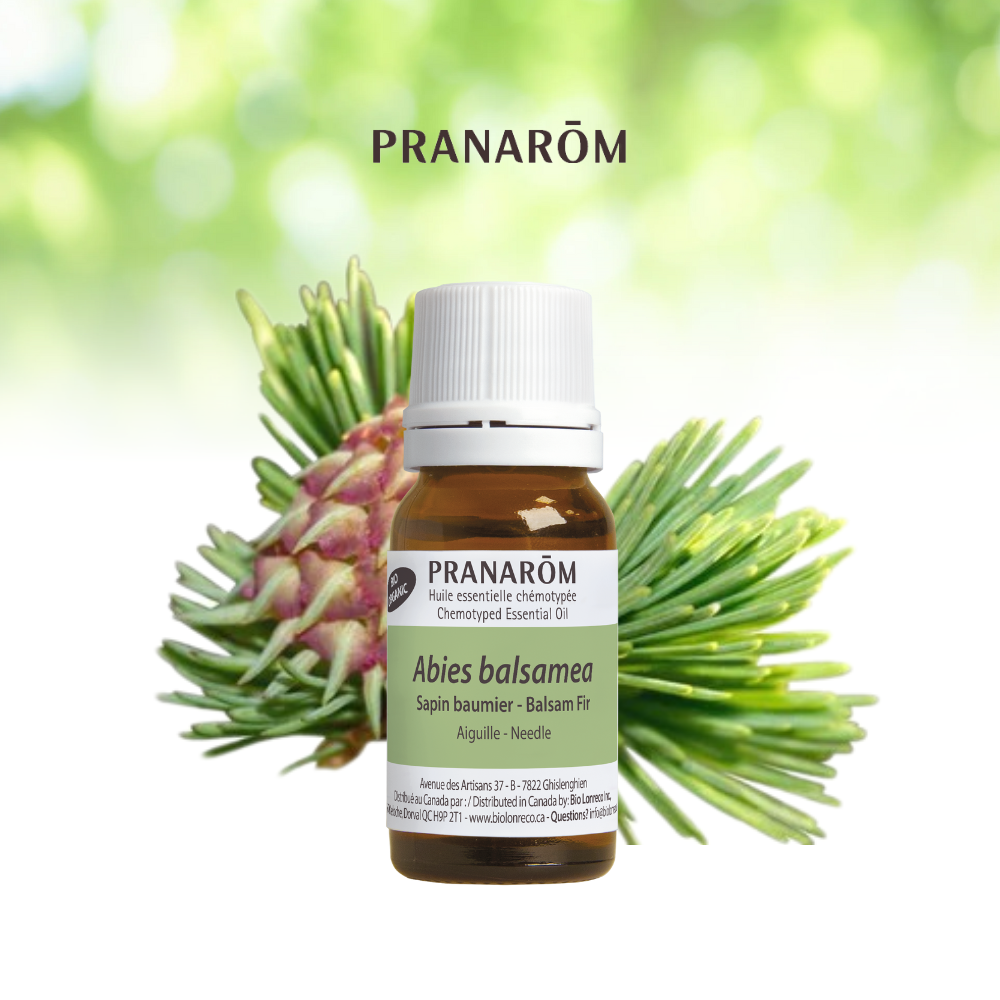 Sapin baumier | P-E01