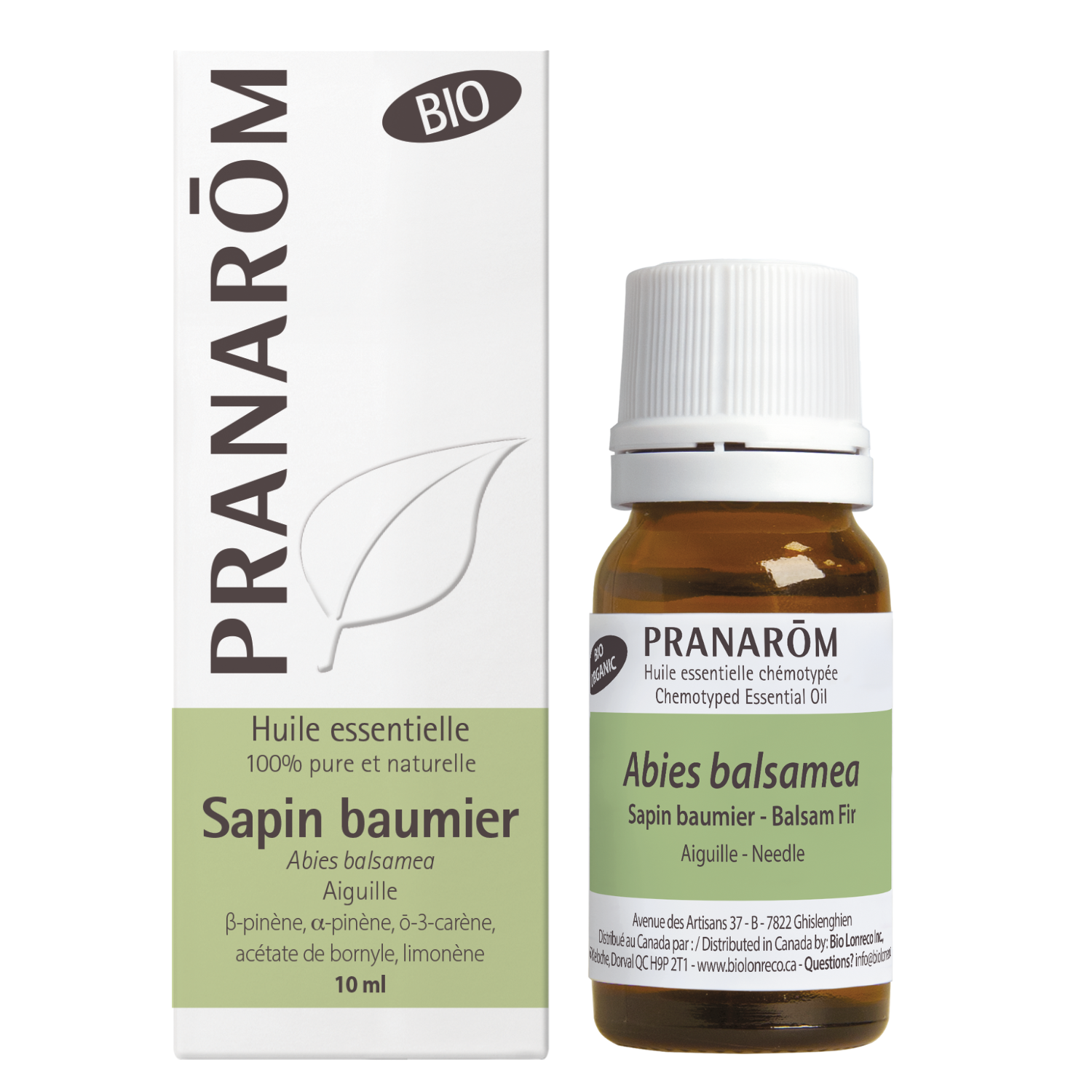 Sapin baumier | P-E01