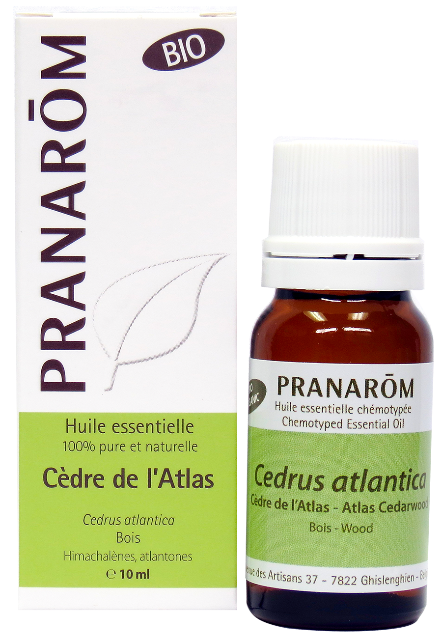 Cèdre de l’Atlas | P-E04