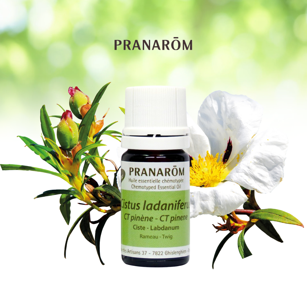 Labdanum – Bio Lonreco
