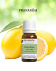 Citron | P-E14