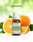 Orange douce | P-E17