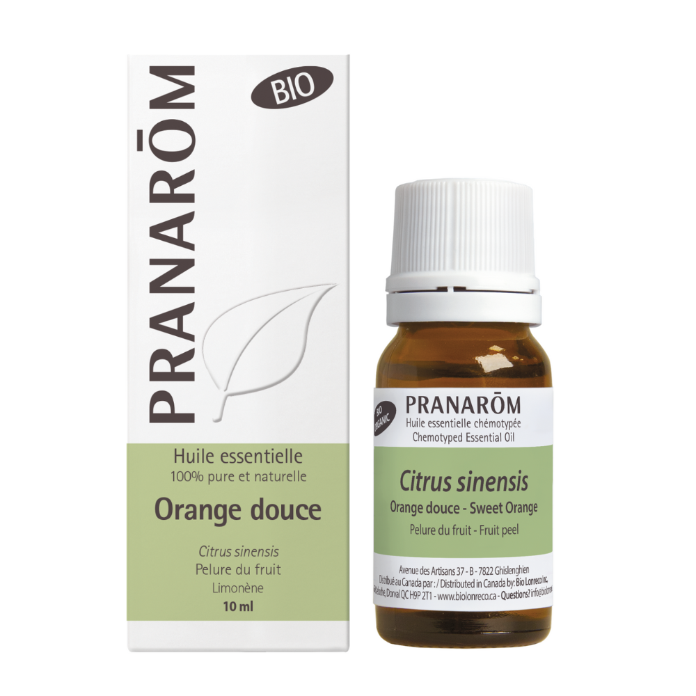 Orange douce | P-E17