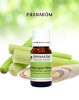 Lemongrass India | P-E19