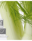 Fennel | P-E28