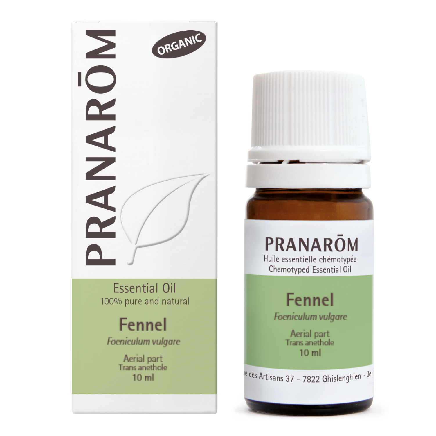 Fennel | P-E28