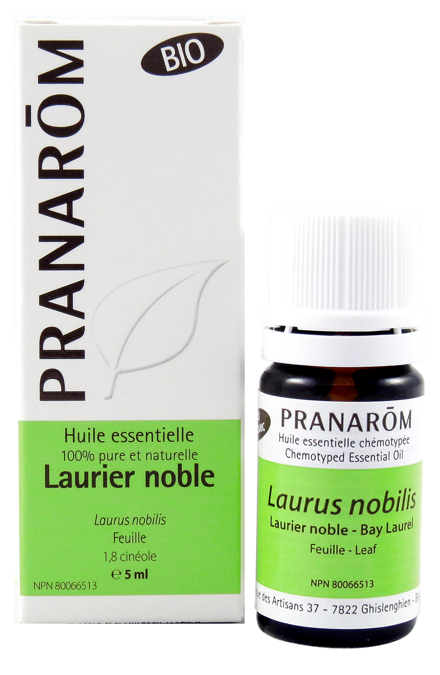 Laurier noble | P-E33