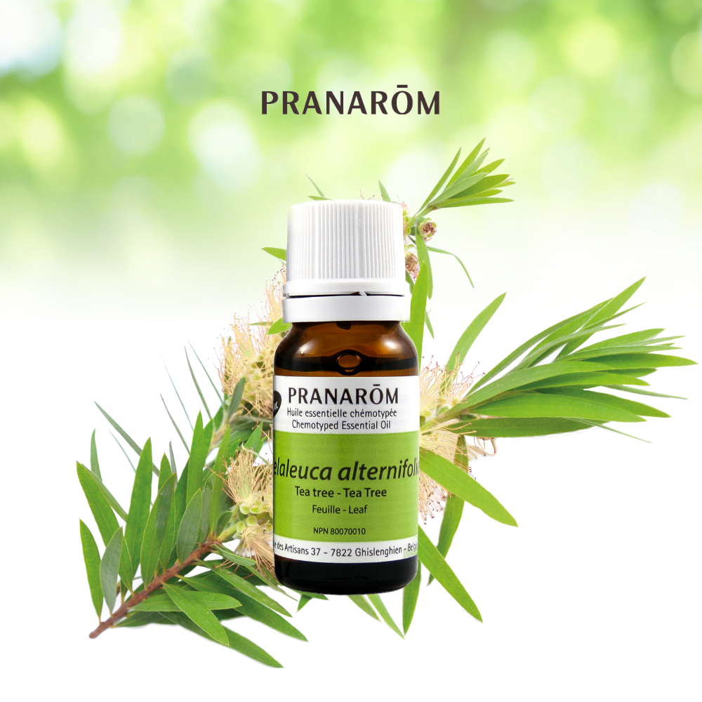 Tea Tree | P-E38