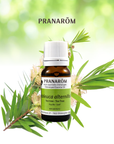 Tea Tree | P-E38