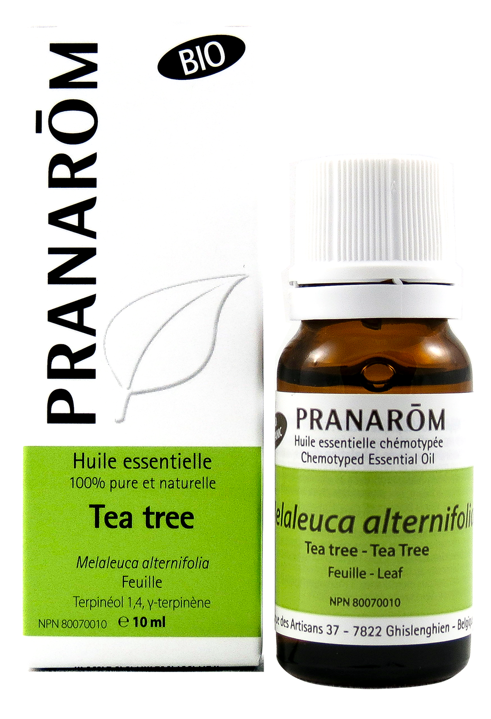Tea Tree | P-E38