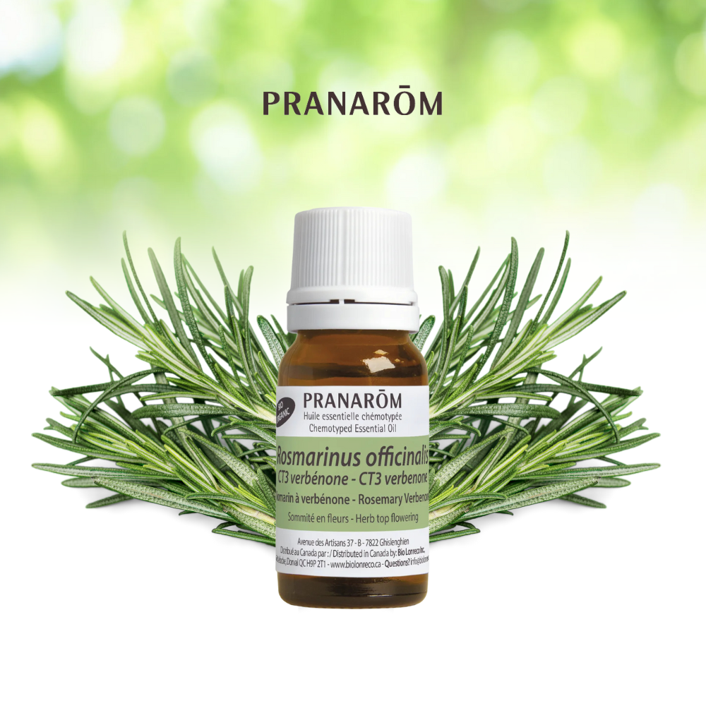 Rosemary Verbenone | P-E53