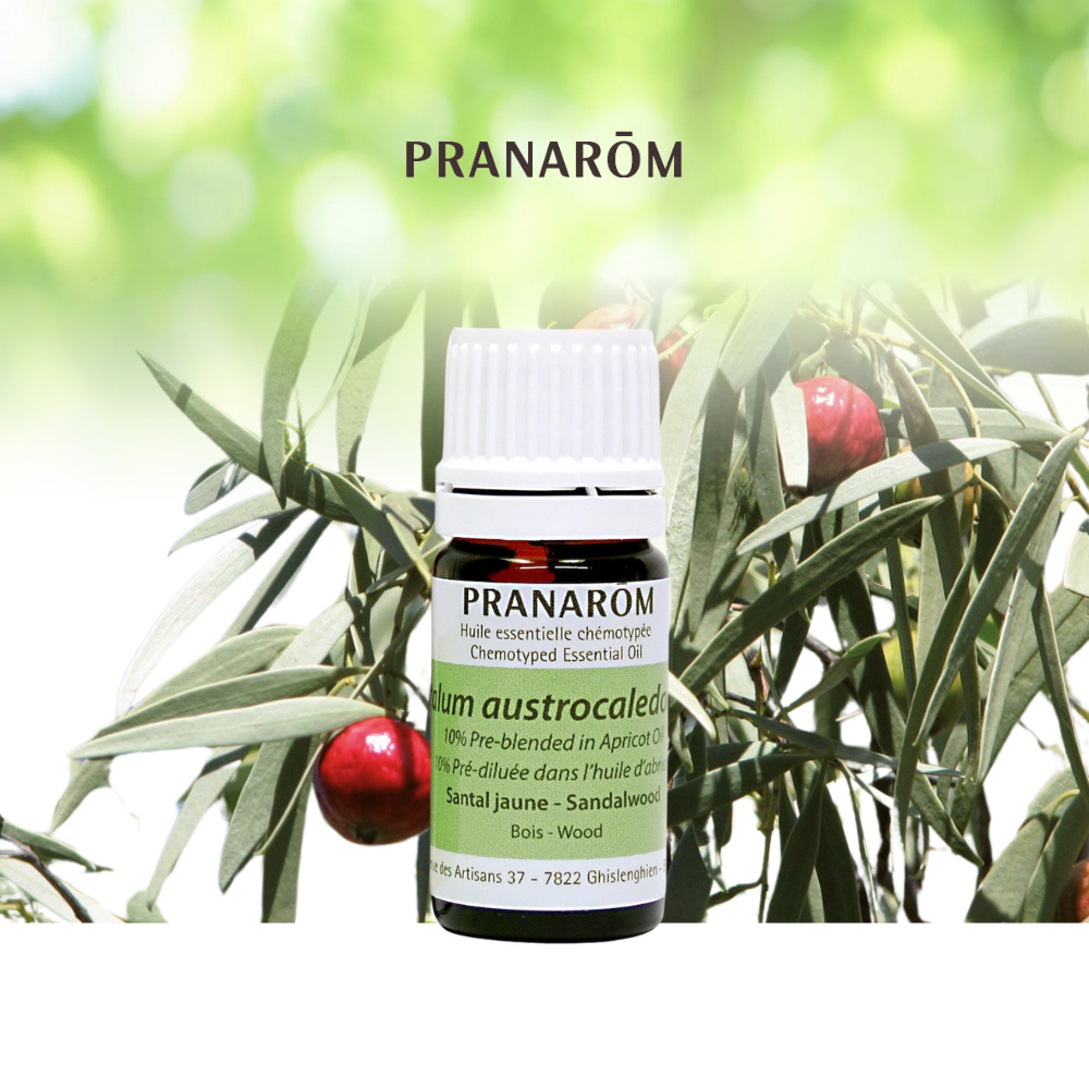 Santal jaune (10% pré-diluée) | P-E56