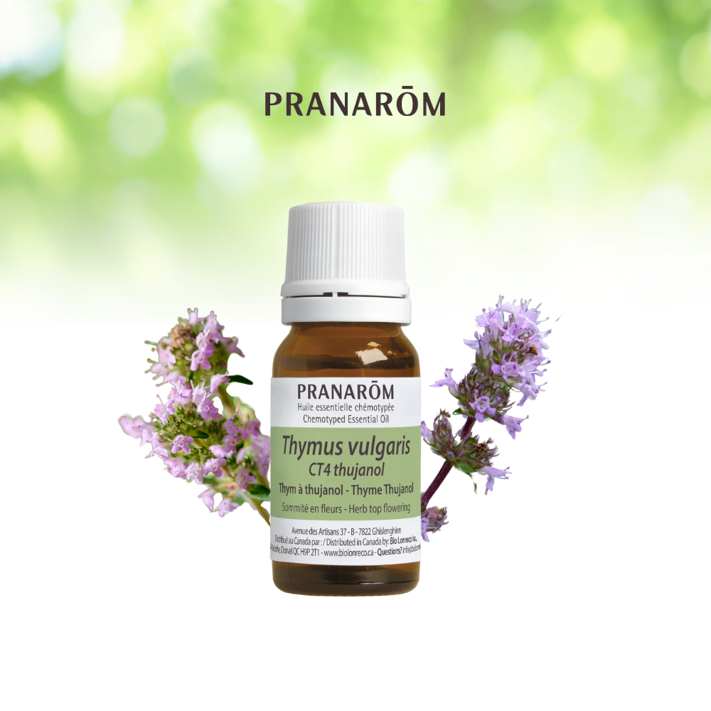 Thyme Thujanol | P-E74