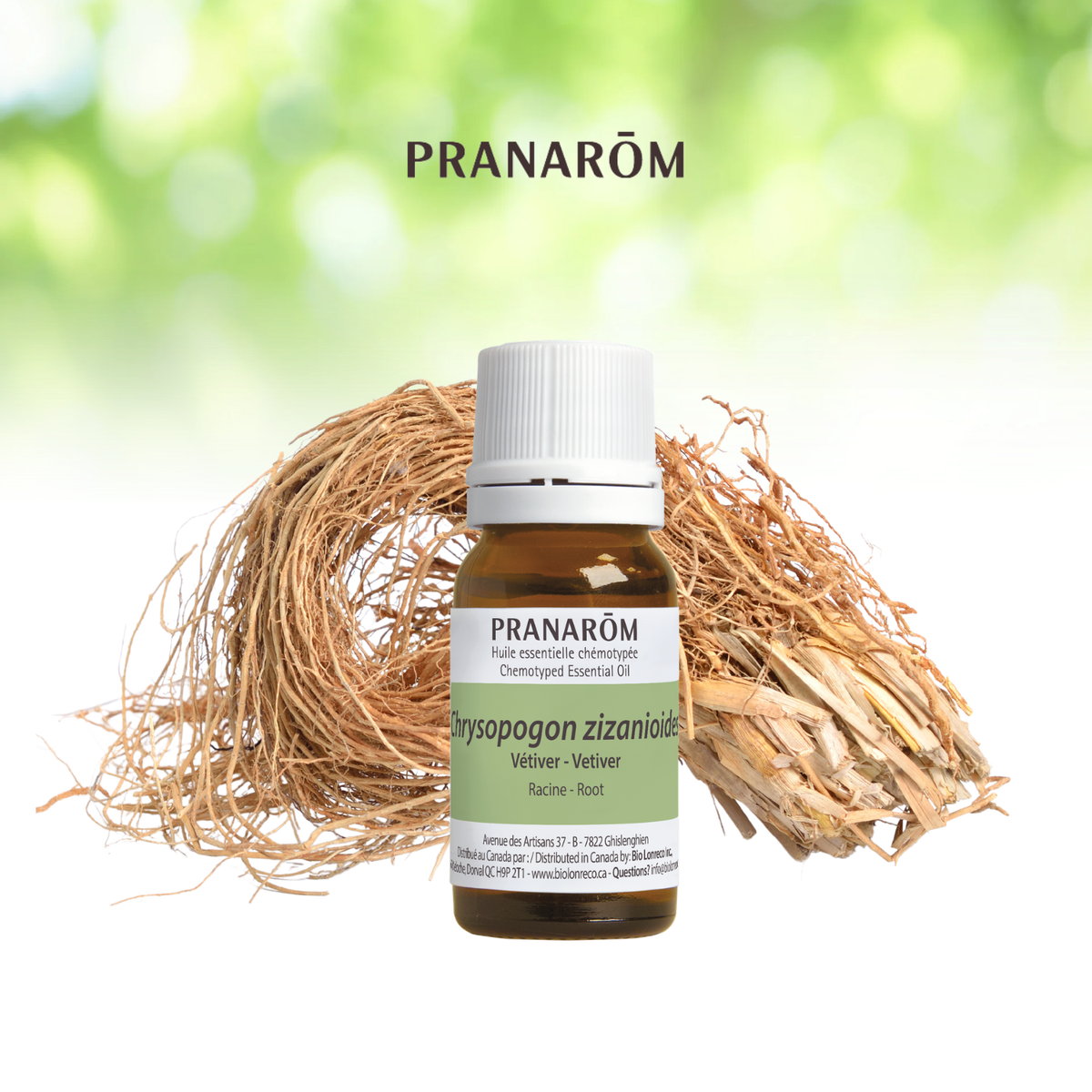 Vetiver – Bio Lonreco