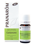 Cardamome